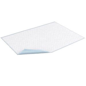 TENA Bed normal 60x60 cm laatikko 160 kpl